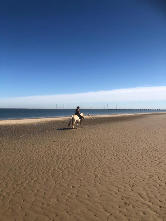 Dorpsdijk 49, Vrouwenpolder Vakantie Εξωτερικό φωτογραφία